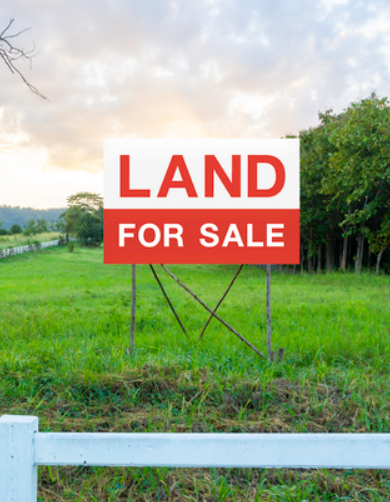 Sell my undeveloped land