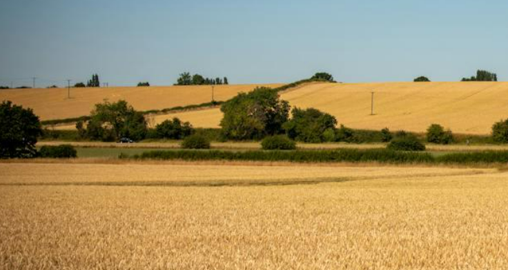 Sell my undeveloped land