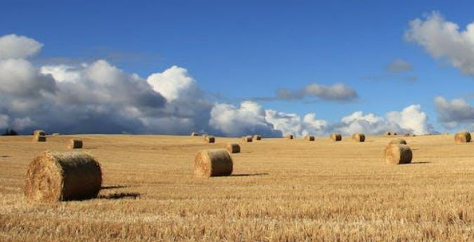 Sell raw land in Idaho