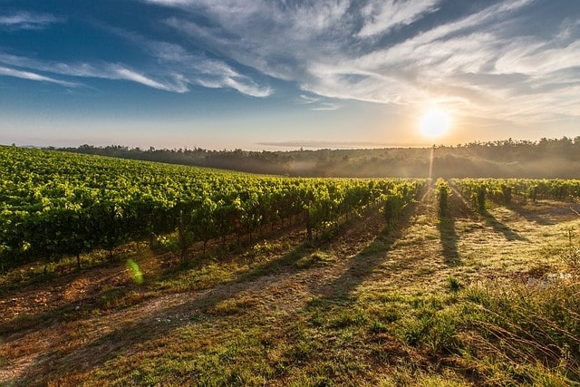 Sell California land for cash